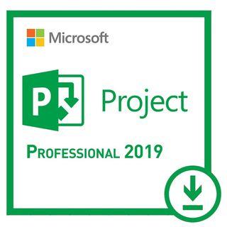 Project 2019 Professional, License Key, For 1 Device