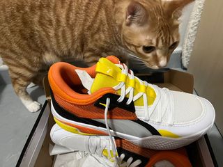 （分類：）位於 。 由 alvvinl 提交（商品編號 1160109780，圖片 1）。簡介： 。