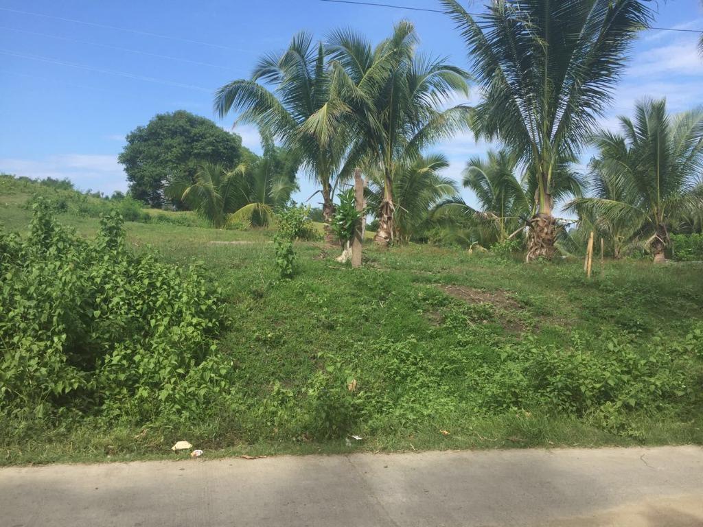 RESIDENTIAL / COMMERCIAL LOT FOR SALE 4,375sqm NATUBO, JASAAN