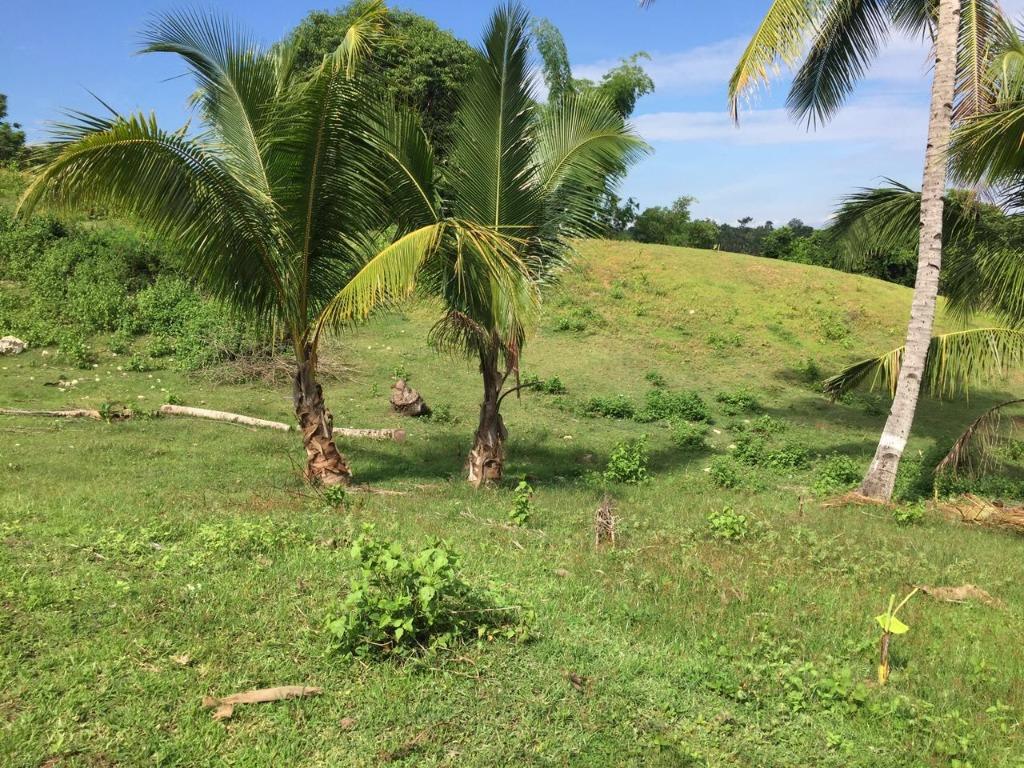 RESIDENTIAL / COMMERCIAL LOT FOR SALE 4,375sqm NATUBO, JASAAN