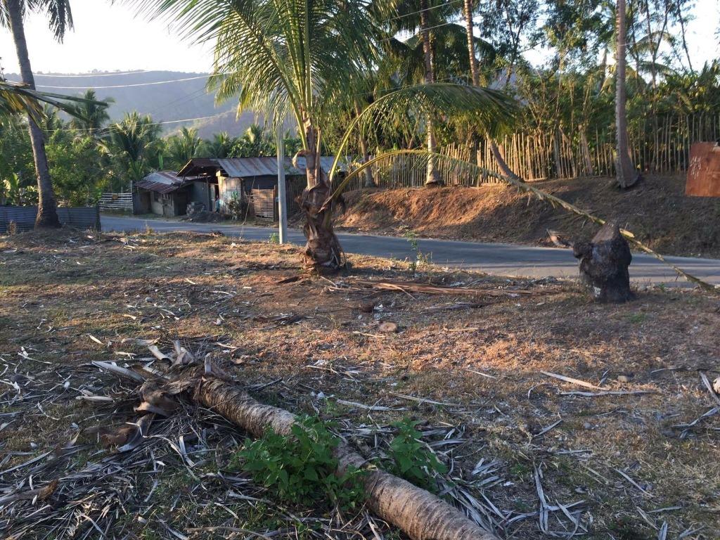 RESIDENTIAL / COMMERCIAL LOT FOR SALE 4,375sqm NATUBO, JASAAN