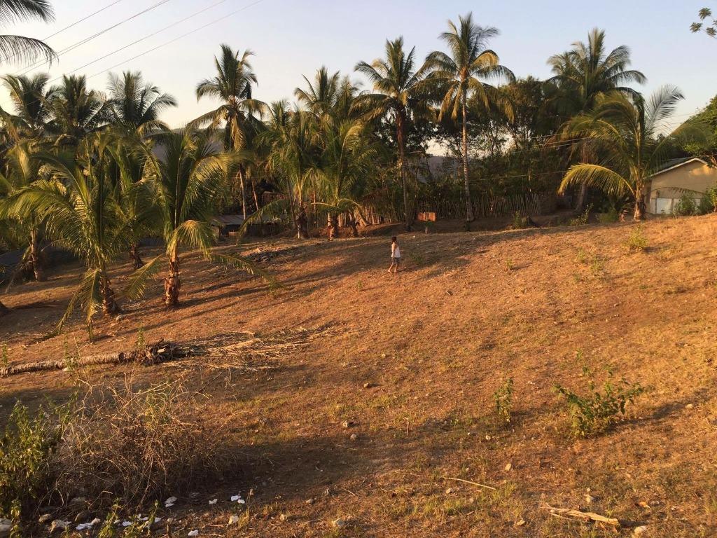 RESIDENTIAL / COMMERCIAL LOT FOR SALE 4,375sqm NATUBO, JASAAN