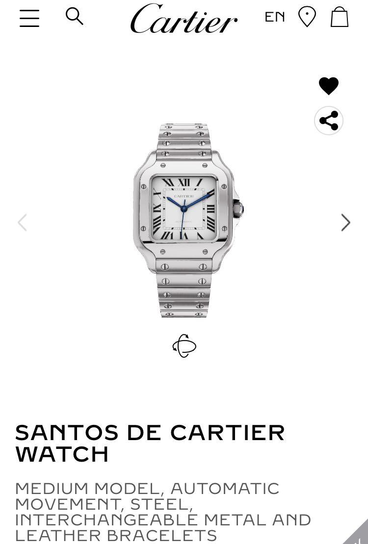 Cartier santos ladies best sale watch