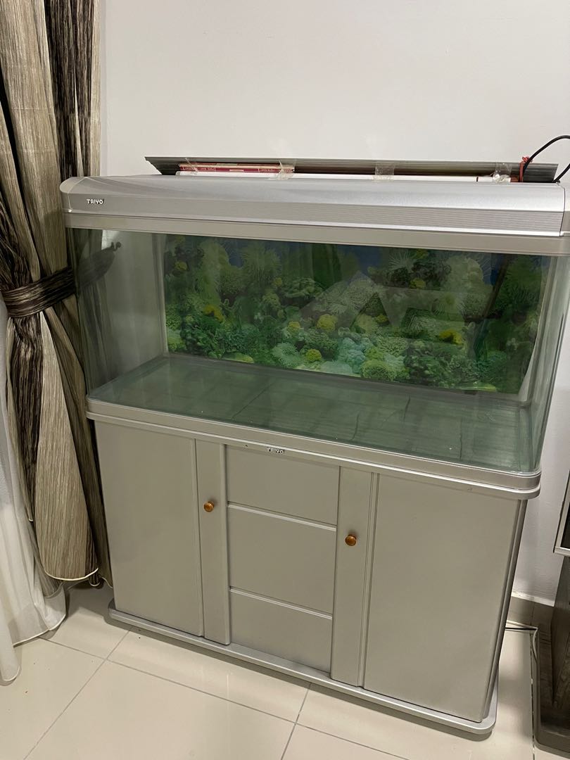 Taiyo aquarium shop tank