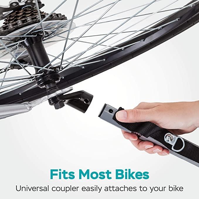Instep take 2025 2 bicycle trailer