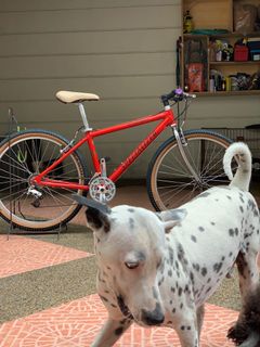 (Category: ) located in . Submitted by marvinsole (Listing ID 1160593463, Image 1). Description: .