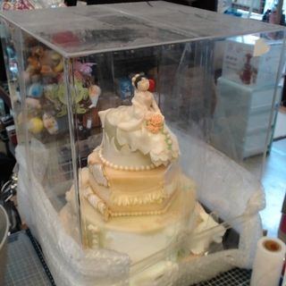 由 lovetobuyshop (刊登 ID 1160650245，圖片 1) 提交，位於 的 (類別：)，說明：。