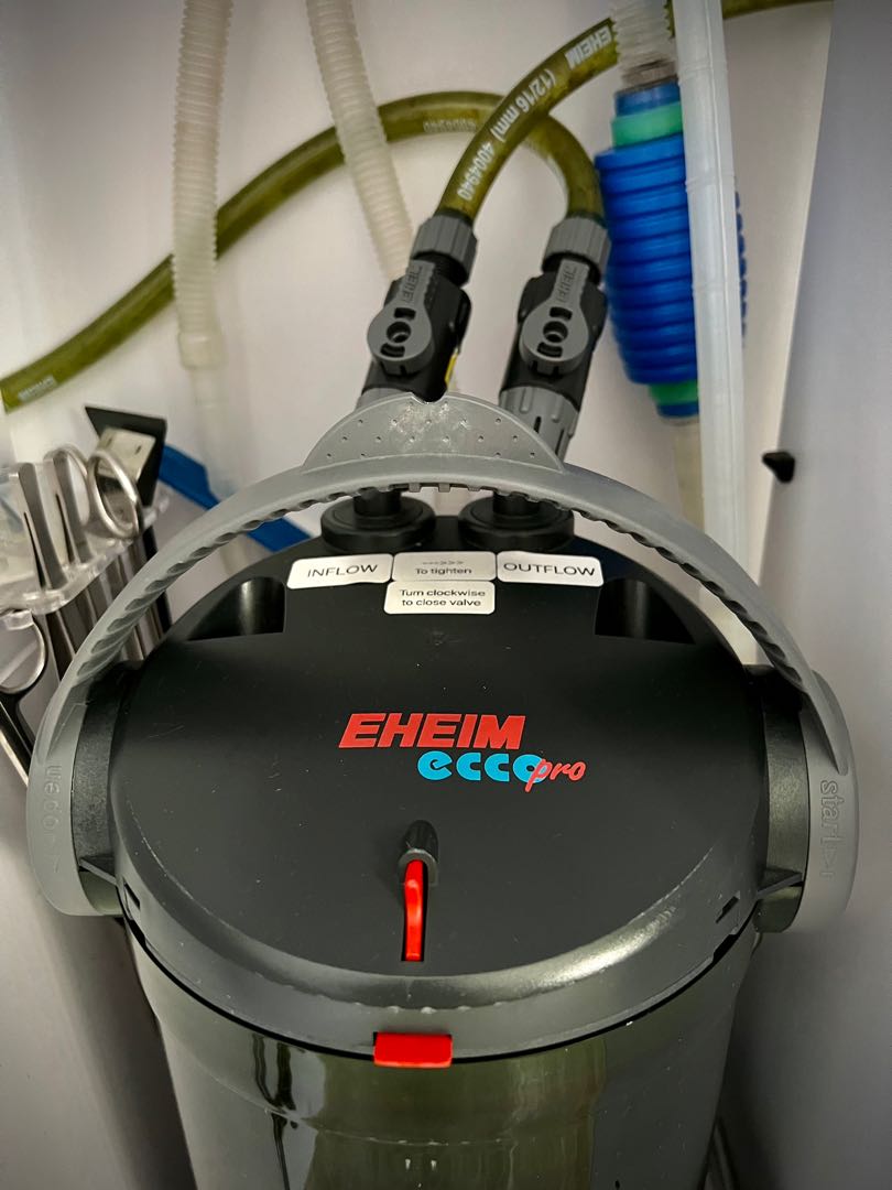 Eheim ecco pro 300 sale
