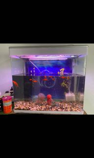 (Category: ) located in . Submitted by nicoyt (Listing ID 1160525296, Image 1). Description: .