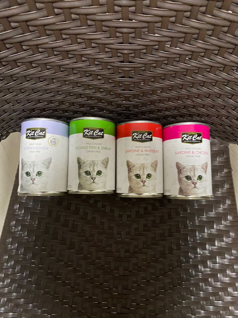 kit cat kitten mousse food, Pet Supplies, Pet Food on Carousell