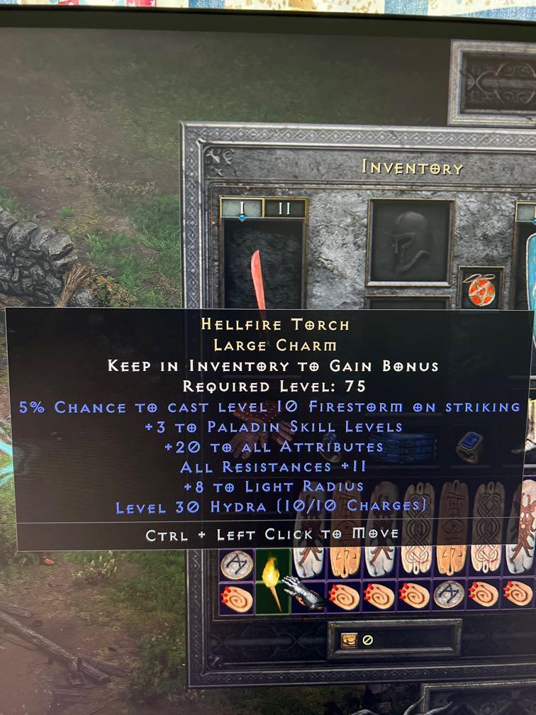 Paladin Hellfire Torch D2R, Video Gaming, Gaming Accessories, InGame