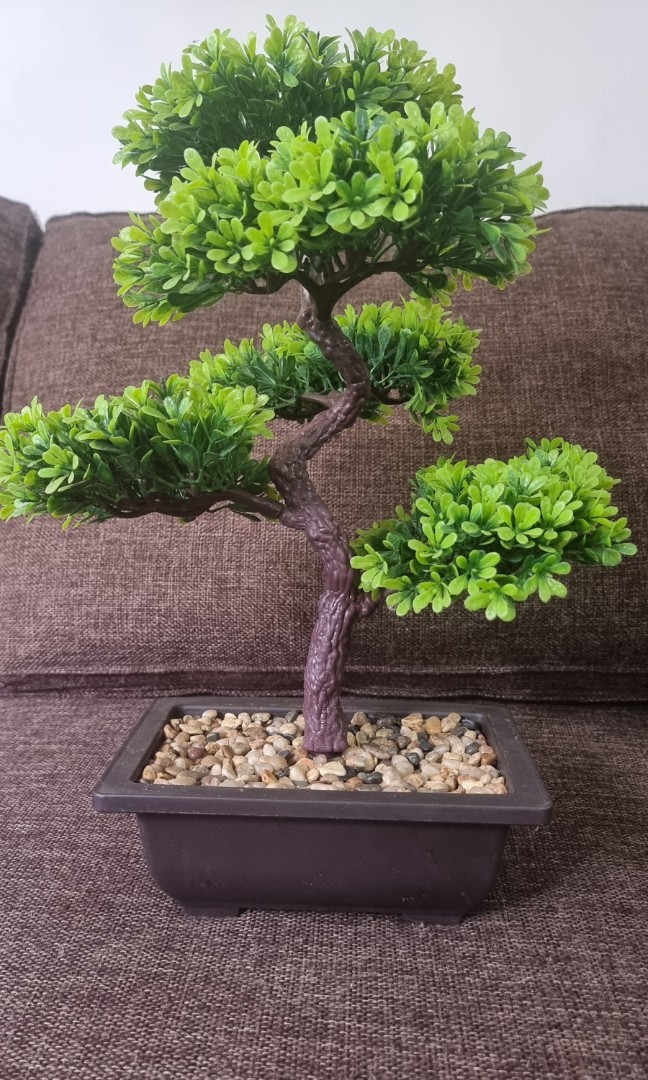 Plastic Bonsai Tree, Furniture & Home Living, Home Decor, Artificial