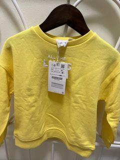 Zara jumper