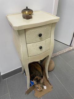 （分類：）位於 。 由 carolida 提交（商品編號 1160683731，圖片 1）。簡介： 。