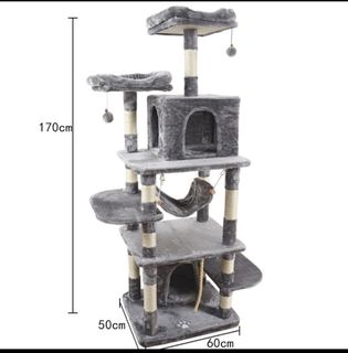 (Category: ) located in . Submitted by paws_n_love (Listing ID 1160816422, Image 1). Description: .