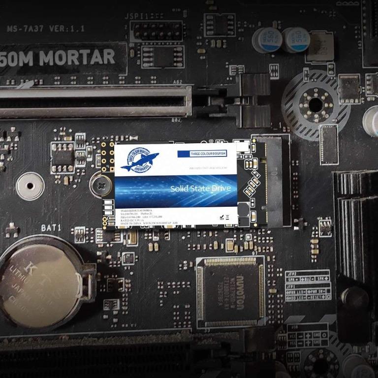 Dogfish SSD SATA M.2 2242 250GB Ngff Internal Solid State Drive High Performance Hard Drive Desktop Laptop SATA III 6Gb s M.2 2242 240GB Computers Tech Parts Accessories Computer Parts on