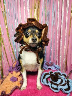 Handmade Crochet Dog & Puppy Hat