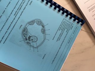 （分類：）位於 。 由 dsesbook_seller 提交（商品編號 1160702208，圖片 1）。簡介： 。