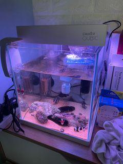 LED燈淨魚缸