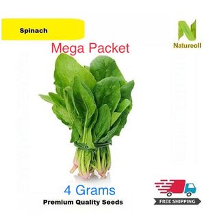 (Category: ) located in . Submitted by vegetableseedsnat (Listing ID 1160676349, Image 1). Description: .