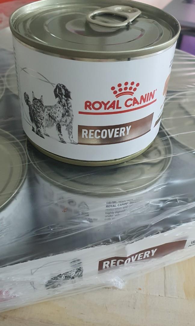 Royal canin top recovery food