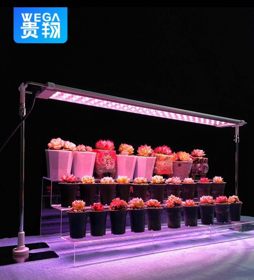 Wega shop grow light