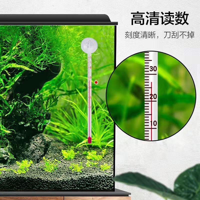 https://media.karousell.com/media/photos/products/2022/5/16/aquarium_thermometer_fish_tank_1652693853_de0271f1_progressive.jpg