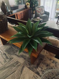 (Category: ) located in . Submitted by katebreslin (Listing ID 1160859869, Image 1). Description: .