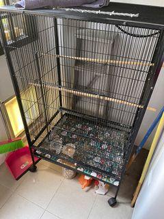 Bird Cage