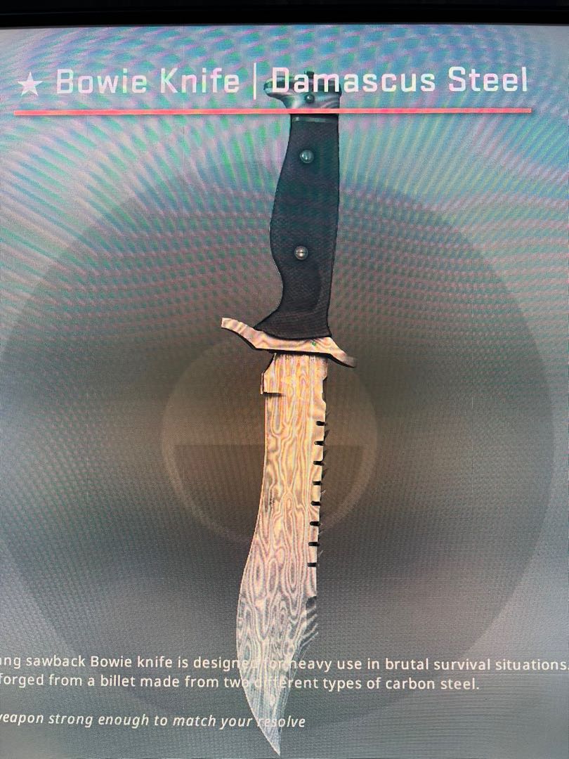 CSGO Bowie Knife Damascus Steel Field Tested, Video Gaming, Video Games