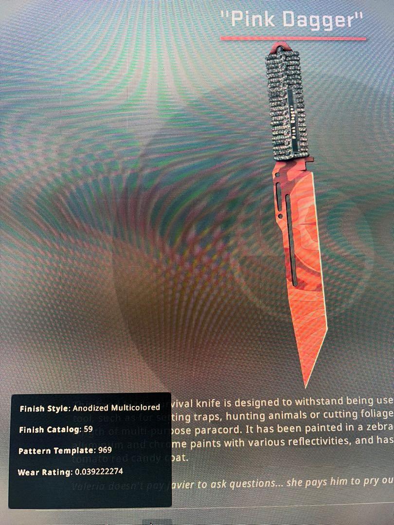 CSGO Paracord Knife Slaughter Factory New with Name Tag, Video Gaming