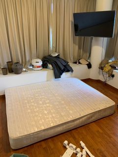 (Category: ) located in . Submitted by heliconia92 (Listing ID 1160917238, Image 1). Description: .