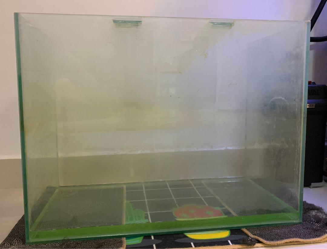 2ft Aquarium (5mm Glass Thickness), Pet Supplies, Homes & Other Pet