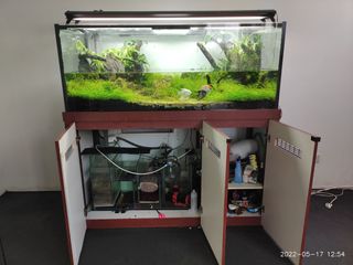 (Category: ) located in . Submitted by indraney (Listing ID 1161099899, Image 1). Description: .
