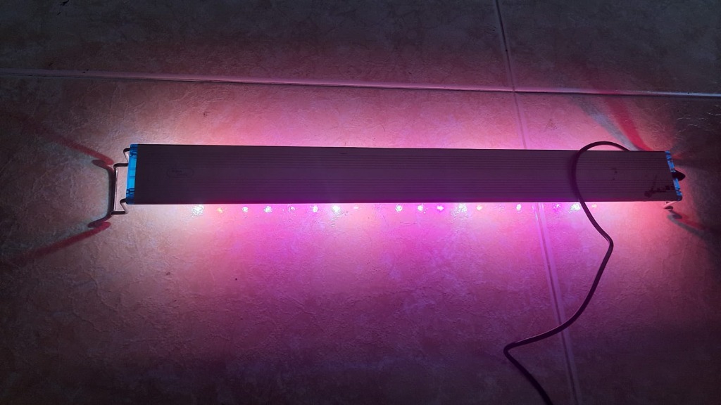 Aquarium lights for 1 and 2 feet tanks, Pet Supplies, Homes & Other Pet