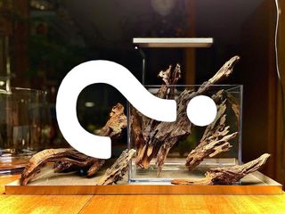 （分類：）位於 。 由 miu_manner 提交（商品編號 1161162493，圖片 1）。簡介： 。