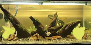 (Category: ) located in . Submitted by luxurious_collection (Listing ID 1161110528, Image 1). Description: .