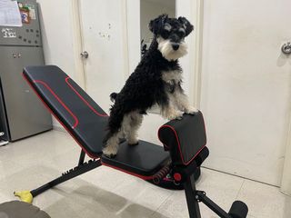 （分類：）位於 。 由 djrodriguez01 提交（商品編號 1161116698，圖片 1）。簡介： 。