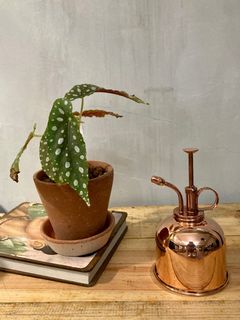 （分類：）位於 。 由 mollymeg 提交（商品編號 1161155812，圖片 1）。簡介： 。