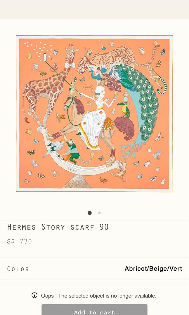 Hermes Story scarf 90