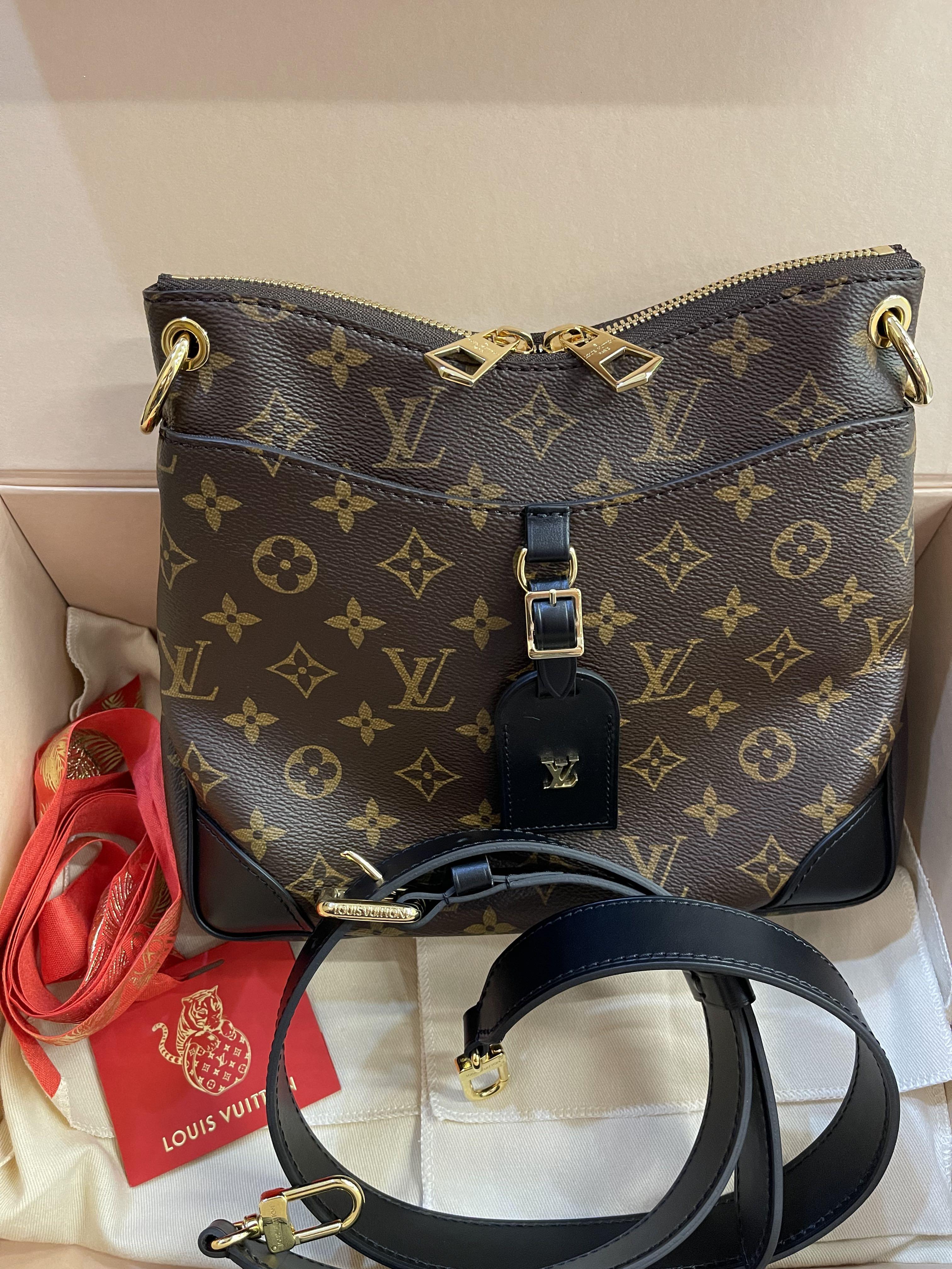 New LV Bag! Louis Vuitton Odeon PM Vs MM ** Watch Before You Buy