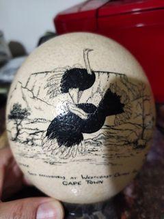 Old Ostrich Egg drawn by artist