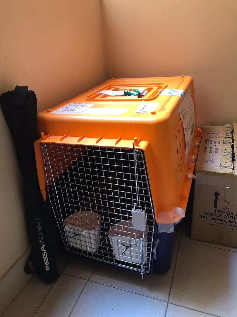 XL dog crate, Pet Supplies, Homes & Other Pet Accessories on Carousell