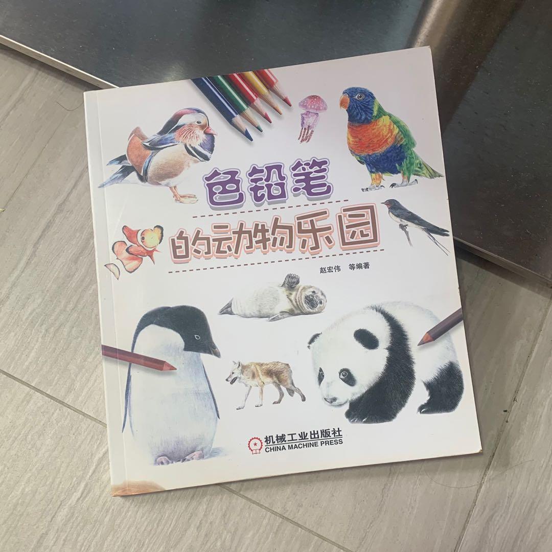 色鉛筆的動物世界教用木顏色繪畫 興趣及遊戲 書本 文具 小朋友書 Carousell