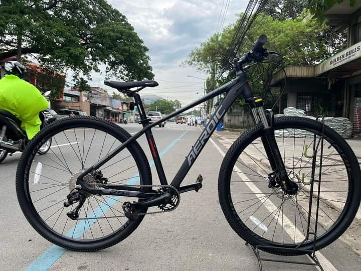 Aeroic 29er on sale