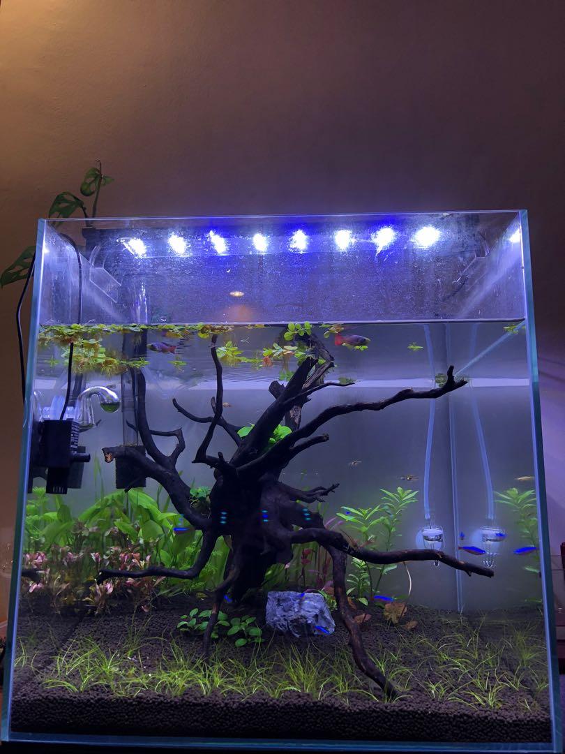 BEAMSWORK LED AQUARIUM LIGHT