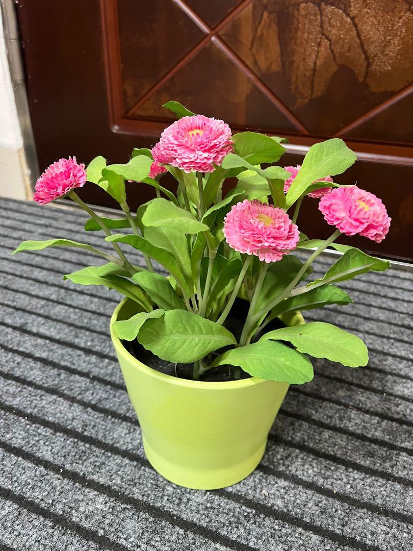 買我其他嘢可免費送 Ikea假花檯面裝飾品 傢俬 家居 園藝 植物及種子 Carousell