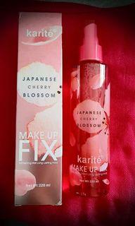 Japanese Cherry Blossom Make Up Fix