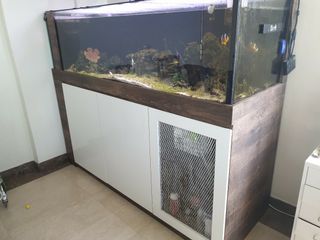 (Category: ) located in . Submitted by zenforest.18f04d (Listing ID 1161457717, Image 1). Description: .
