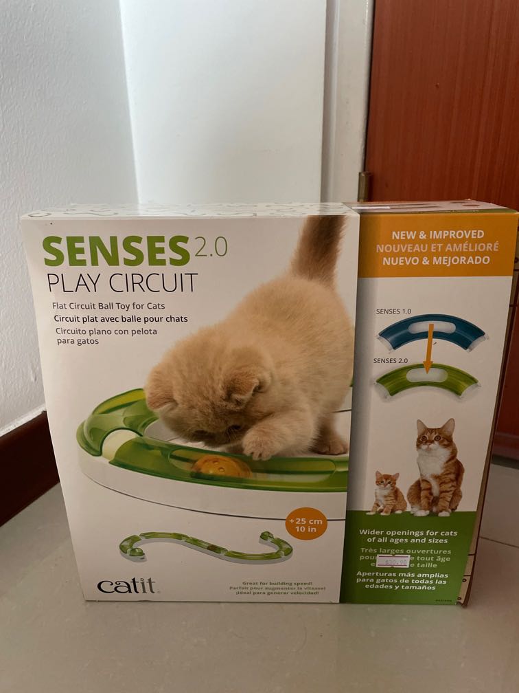 play circuit cat toy